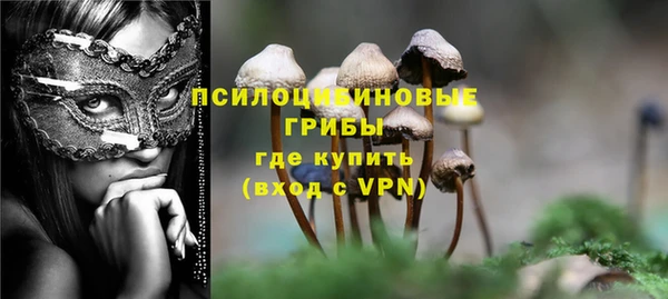 шишки Абдулино