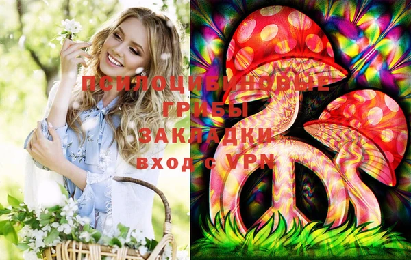 шишки Абдулино