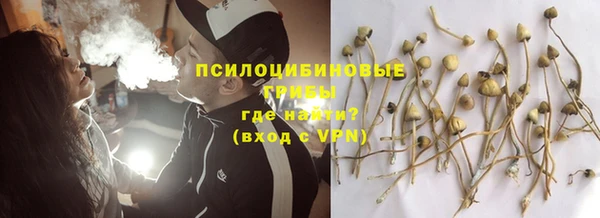 молекула духа Каменка
