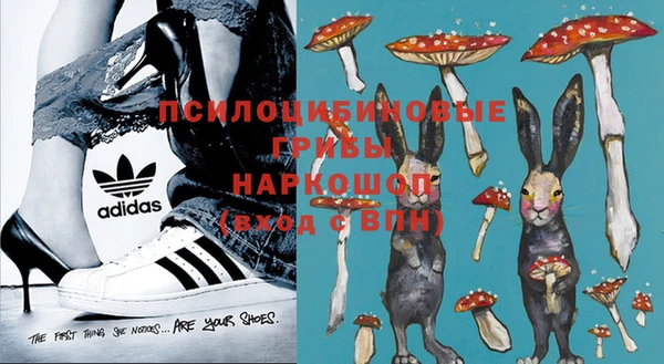 амф Абинск