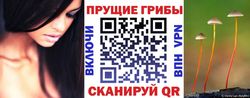 Галлюциногенные грибы MAGIC MUSHROOMS  магазин    Чита 