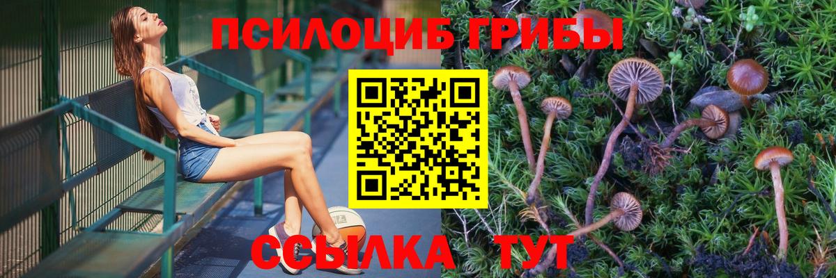 Псилоцибиновые грибы Magic Shrooms Чита